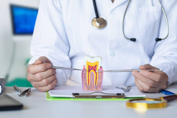 Best Broken or Cracked Tooth Emergency Dentist in Olney, IL